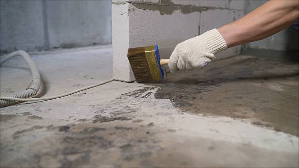 24/7 Emergency Wet Basement Repair experts in Rutledge, GA